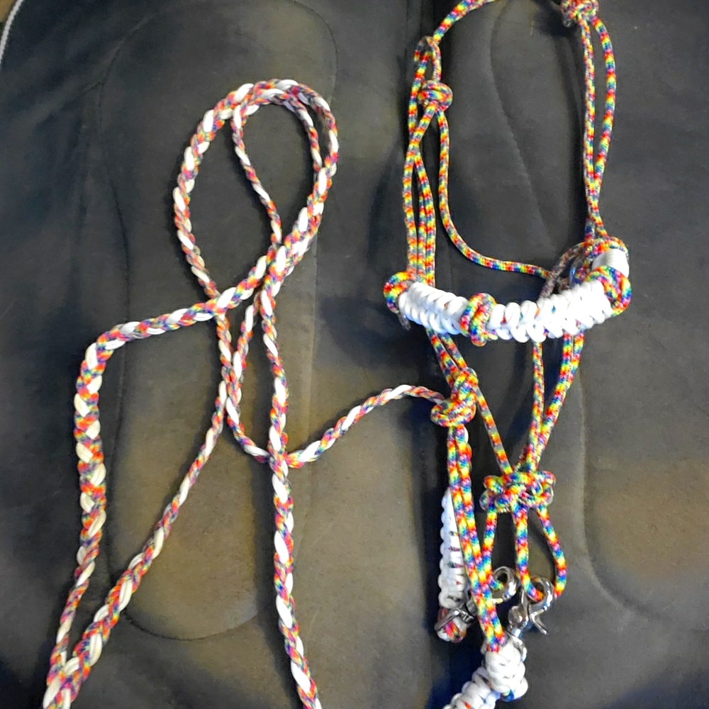 Rainbow paracord sidepull and matching reins